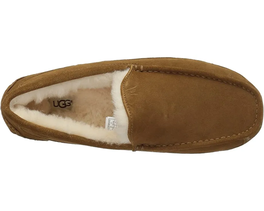 Ascot UGG slippers, chestnut