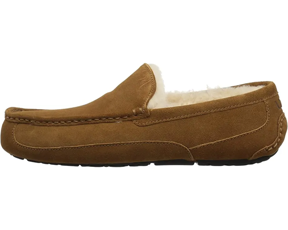 Ascot UGG slippers, chestnut