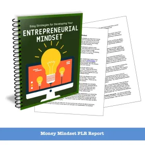 ON SALE - Developing Your Entrepreneurial Mindset PLR Report